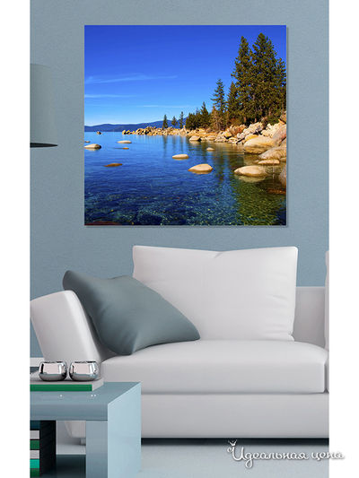 Картина MOMO concept