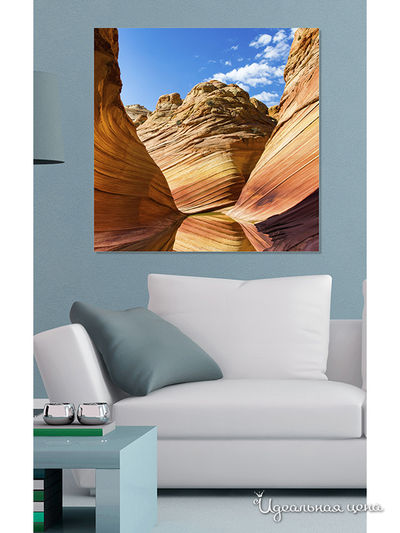 Картина MOMO concept