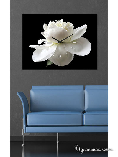 Картина-часы MOMO concept