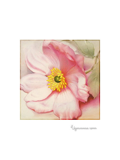 Набор Ernst Schafer GmbH & Co.