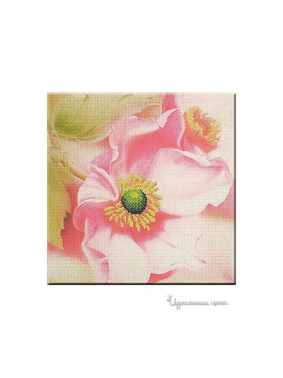 Набор Ernst Schafer GmbH & Co.