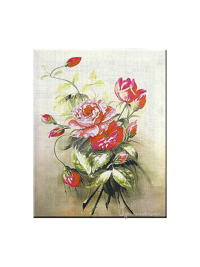 Набор Ernst Schafer GmbH & Co.