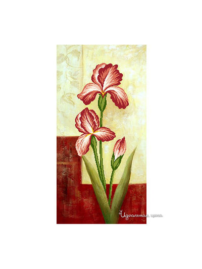 Набор Ernst Schafer GmbH & Co.