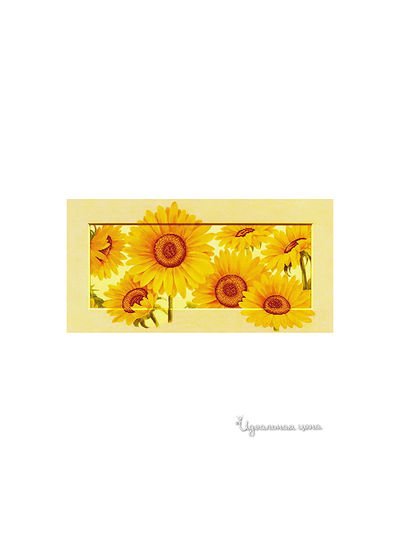 Набор Ernst Schafer GmbH & Co.