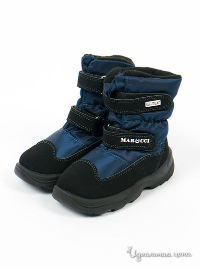 Сапоги Marucci, цвет цвет синий