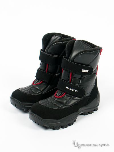 Сапоги Marucci, цвет цвет черный