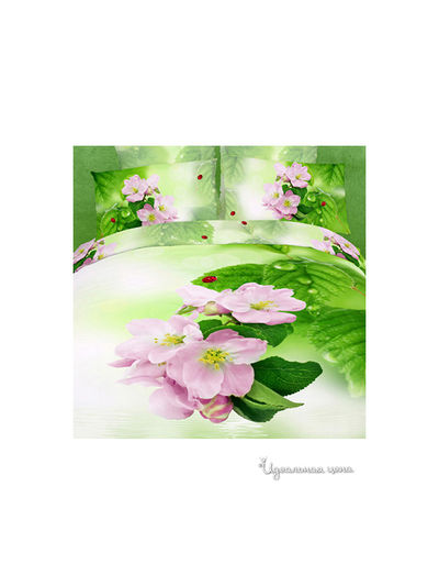 Комплект Domomania