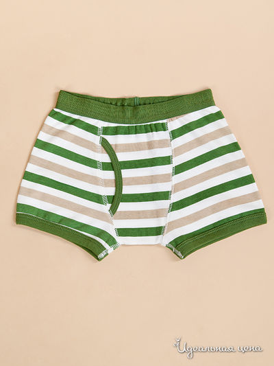 Трусы Модамини, цвет цвет зеленый