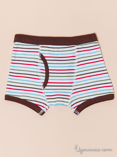 Трусы Модамини, цвет цвет мультиколор