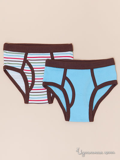 Трусы Модамини, цвет цвет мультиколор