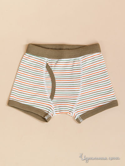 Трусы Модамини, цвет цвет белый / коричневый