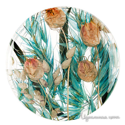 Пиала Riccardo Marzi