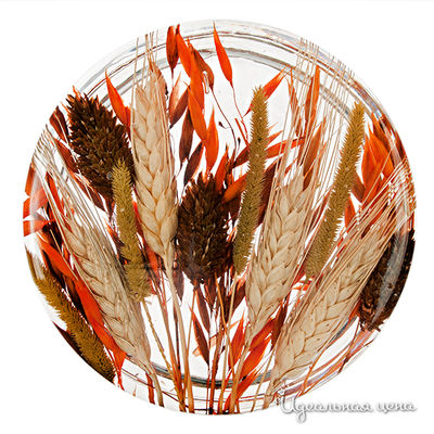 Пиала Riccardo Marzi