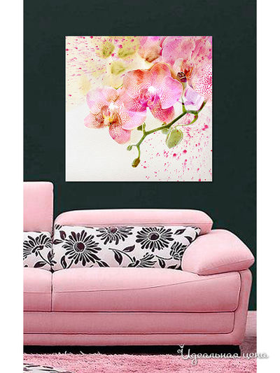 Картина MOMO concept