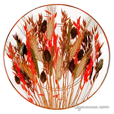 Тарелка Riccardo Marzi