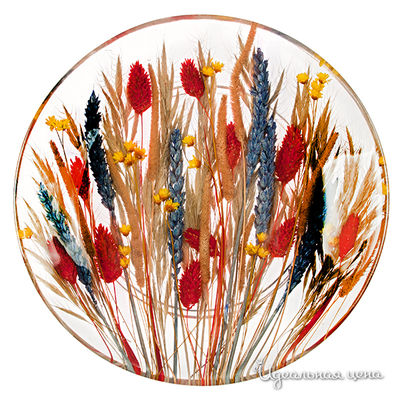 Тарелка Riccardo Marzi