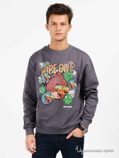 Джемпер Angry Birds, цвет цвет темно-серый