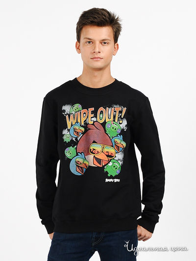 Джемпер Angry Birds, цвет цвет черный