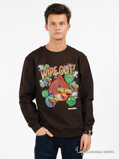 Джемпер Angry Birds, цвет цвет шоколадный