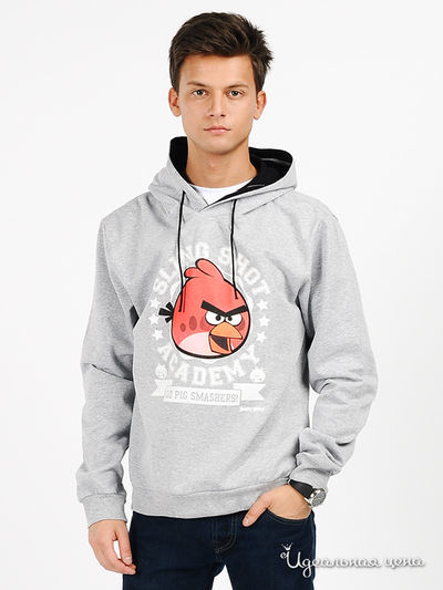 Свитшот Angry Birds, цвет цвет серый меланж