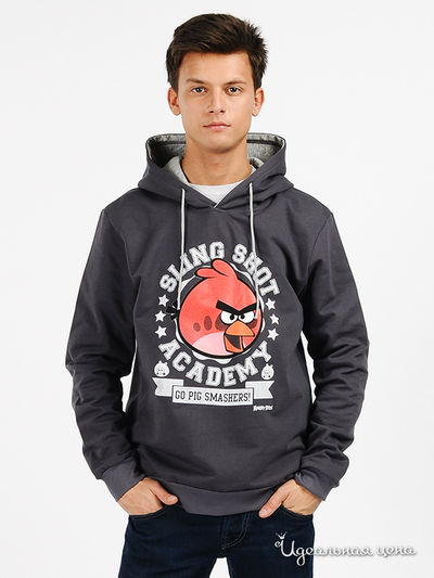 Свитшот Angry Birds, цвет цвет темно-серый