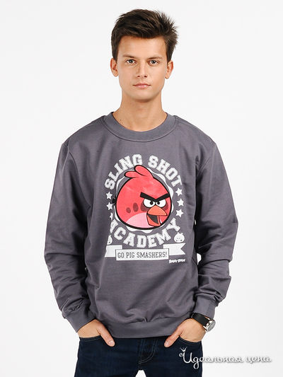 Джемпер Angry Birds, цвет цвет темно-серый