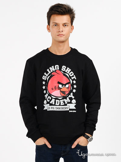 Джемпер Angry Birds, цвет цвет черный
