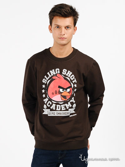 Джемпер Angry Birds, цвет цвет шоколадный