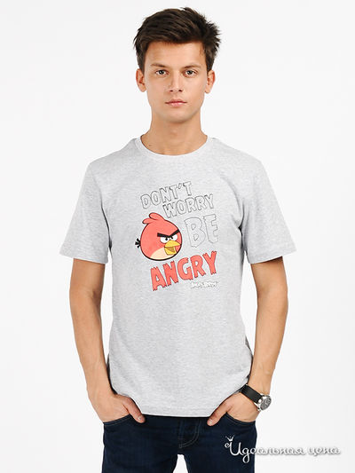Футболка Angry Birds, цвет цвет серый меланж