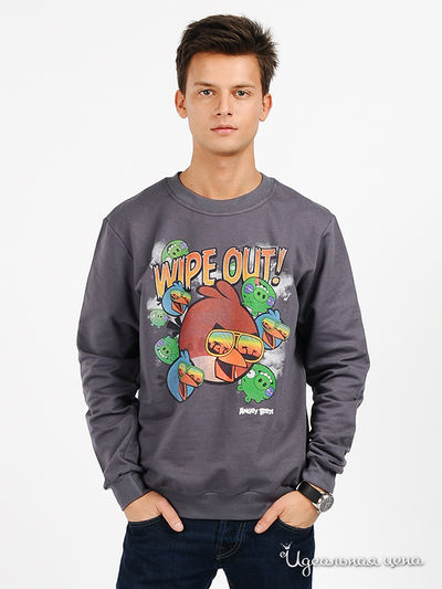 Джемпер Angry Birds, цвет цвет темно-серый