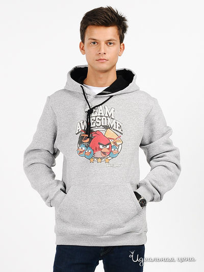 Свитшот Angry Birds, цвет цвет серый меланж