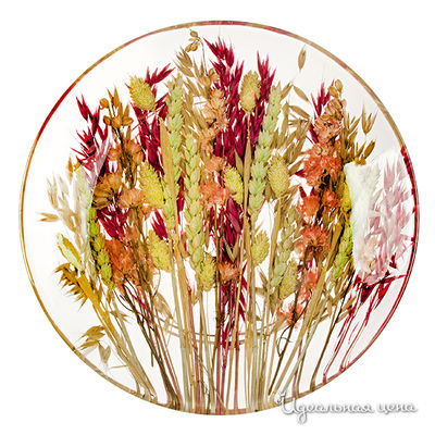 Тарелка Riccardo Marzi