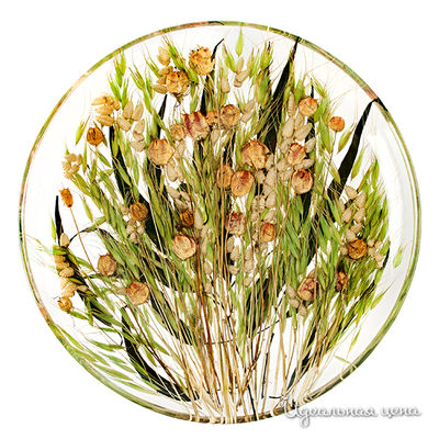 Чаша Riccardo Marzi