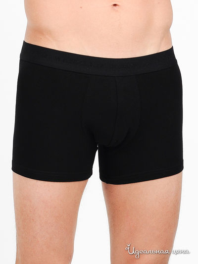 Трусы Kanzler, цвет цвет черный