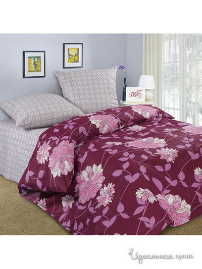 Комплект Domus