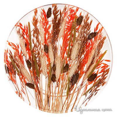 Тарелка Riccardo Marzi