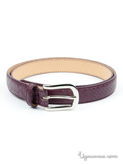 Ремень Schuchard&Friese, цвет цвет виноградный