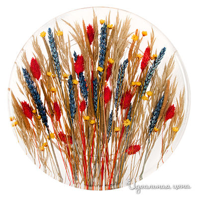 Тарелка Riccardo Marzi