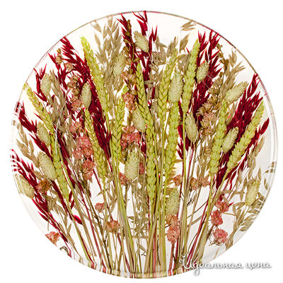 Тарелка Riccardo Marzi