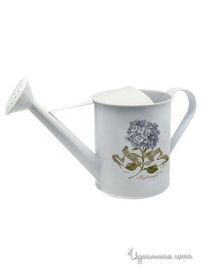 Лейка Л'етерне