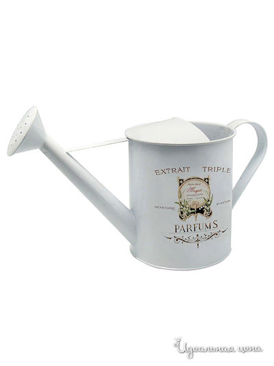 Лейка Л'етерне