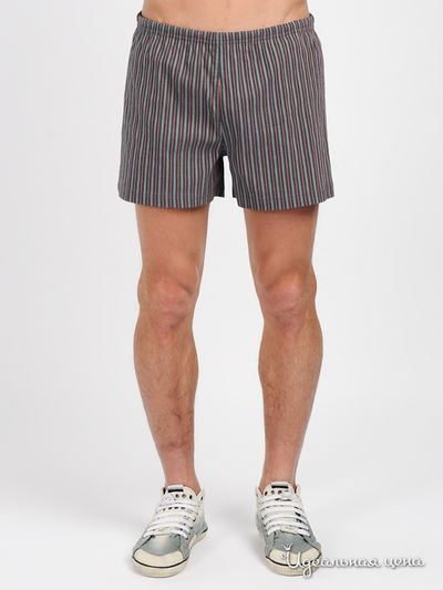 Шорты CMP F.lli Campagnolo, цвет цвет серый