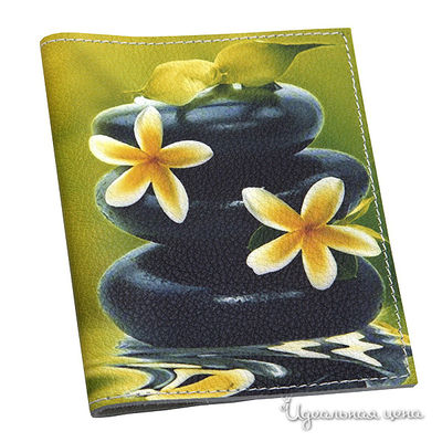 Обложка Кажан, цвет цвет мультиколор