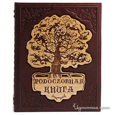 Книга Кажан, цвет цвет бордовый