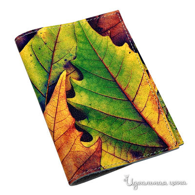 Обложка Кажан Стиль, цвет цвет мультиколор