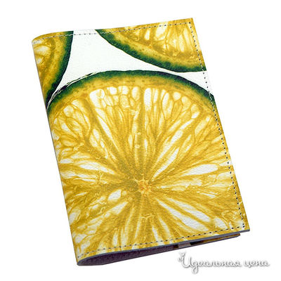 Обложка Кажан Стиль, цвет цвет мультиколор