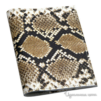 Обложка Кажан Стиль, цвет цвет мультиколор