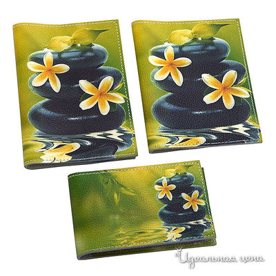 Обложка Кажан Стиль, цвет цвет мультиколор