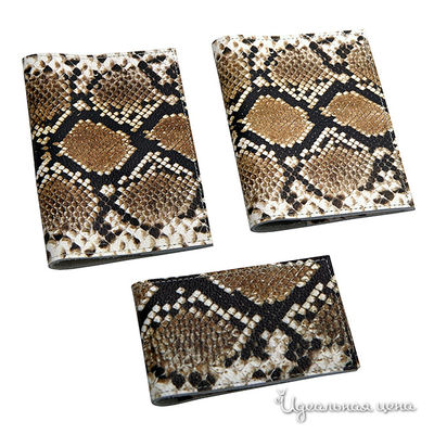 Обложка Кажан Стиль, цвет цвет мультиколор