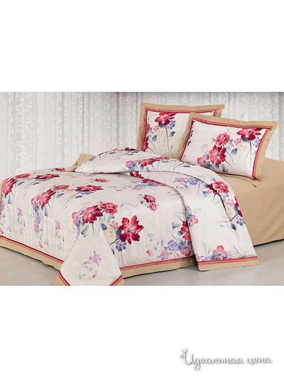 Комплект Softline